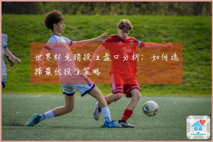 世界杯竞猜投注盘口分析：如何选择最优投注策略