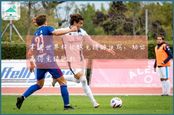 掌握世界杯让球竞猜的诀窍，助你赢得竞猜胜利