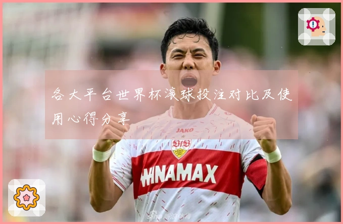 各大平台世界杯滚球投注对比及使用心得分享