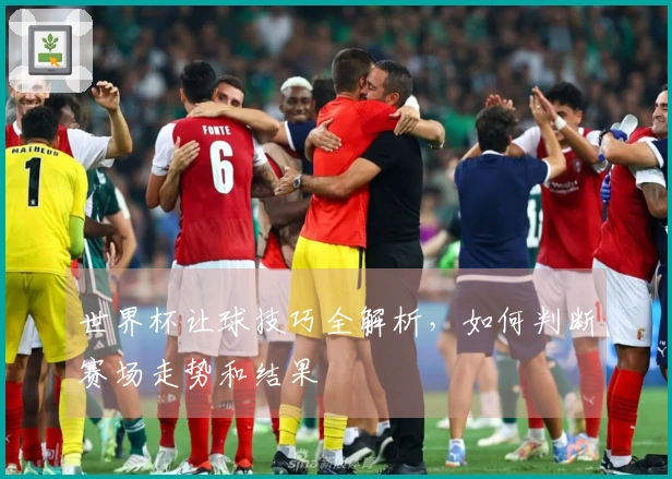 世界杯让球技巧全解析，如何判断赛场走势和结果