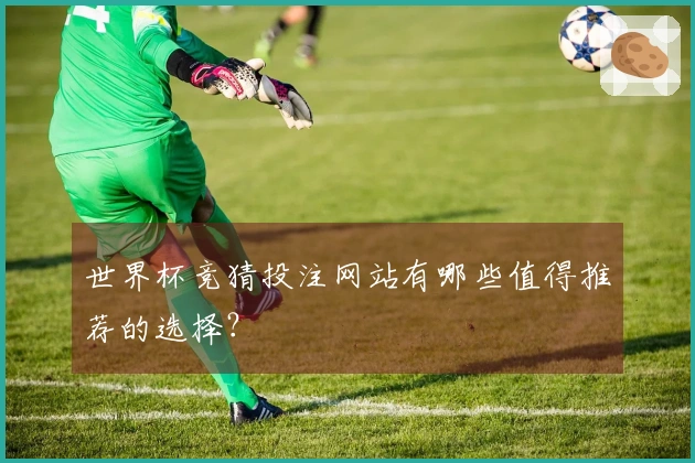 世界杯竞猜投注网站有哪些值得推荐的选择？