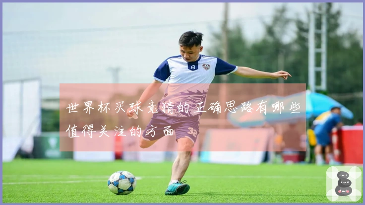 世界杯买球竞猜的正确思路有哪些值得关注的方面