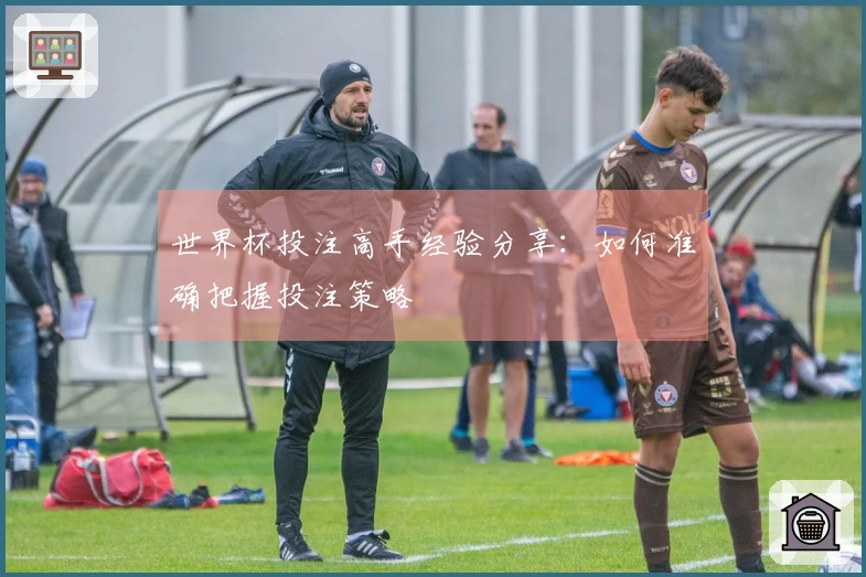世界杯投注高手经验分享：如何准确把握投注策略