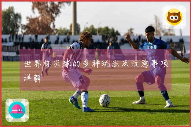 世界杯买球的多种玩法及注意事项详解