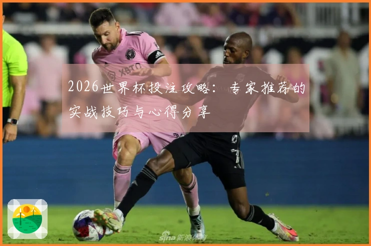 2026世界杯投注攻略：专家推荐的实战技巧与心得分享