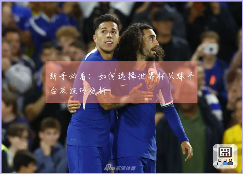新手必看：如何选择世界杯买球平台及技巧分析