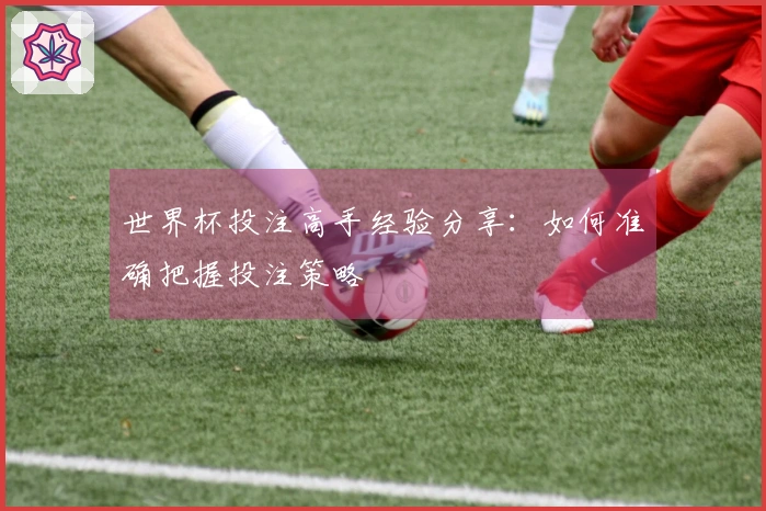 世界杯投注高手经验分享：如何准确把握投注策略
