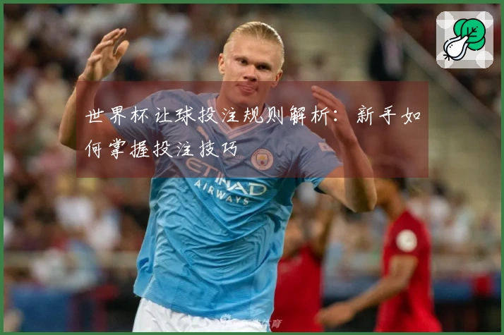 世界杯让球投注规则解析：新手如何掌握投注技巧